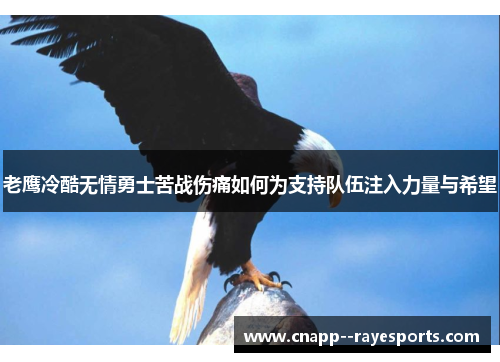 老鹰冷酷无情勇士苦战伤痛如何为支持队伍注入力量与希望