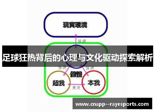 足球狂热背后的心理与文化驱动探索解析 足球狂热背后的心理与文化驱动探索解析