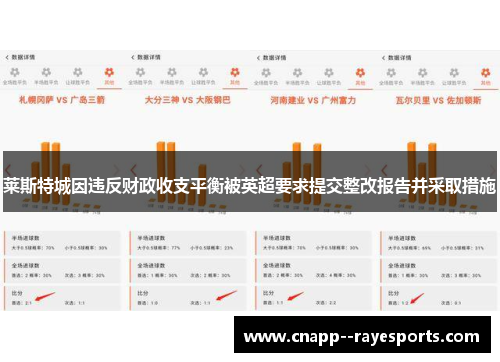 莱斯特城因违反财政收支平衡被英超要求提交整改报告并采取措施
