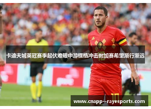 卡迪夫城英冠赛季起伏难破中游桎梏冲击附加赛希望渐行渐远 卡迪夫城英冠赛季起伏难破中游桎梏冲击附加赛希望渐行渐远